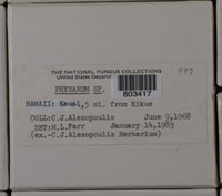 Image Associated With the Occurence